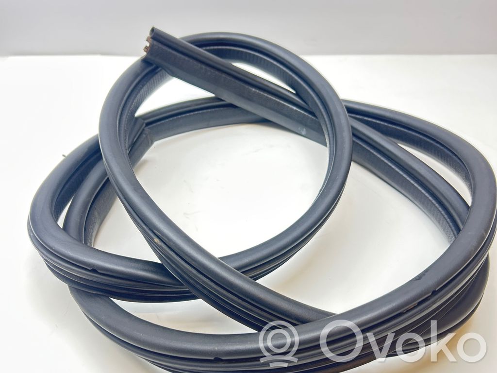 Rear door rubber seal (on body)
