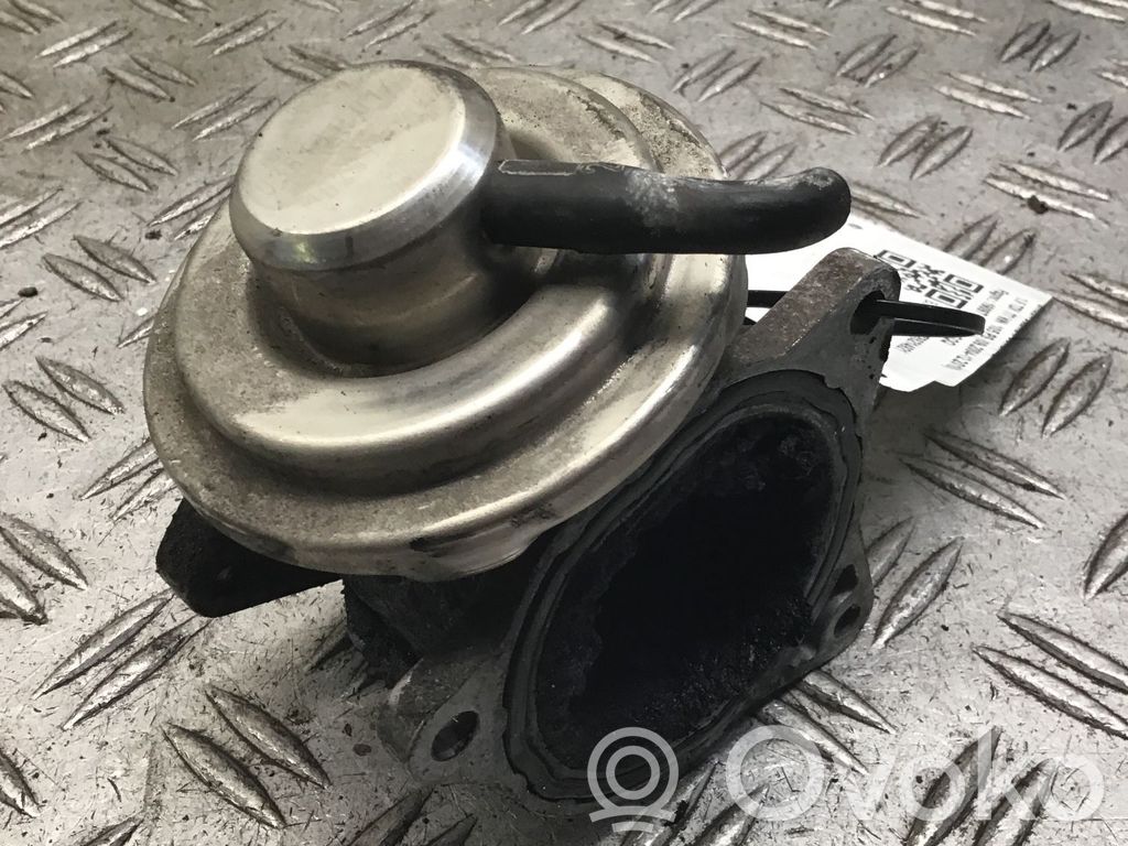 Skoda Octavia Mk2 (1Z) Válvula EGR 
