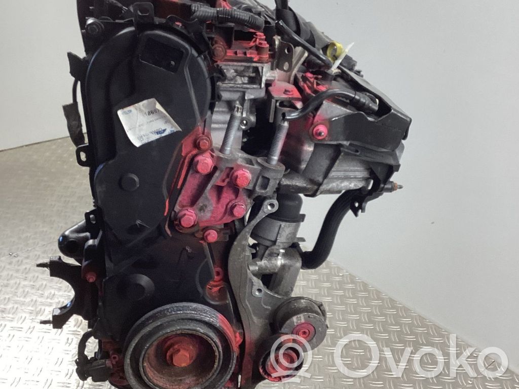 Motor