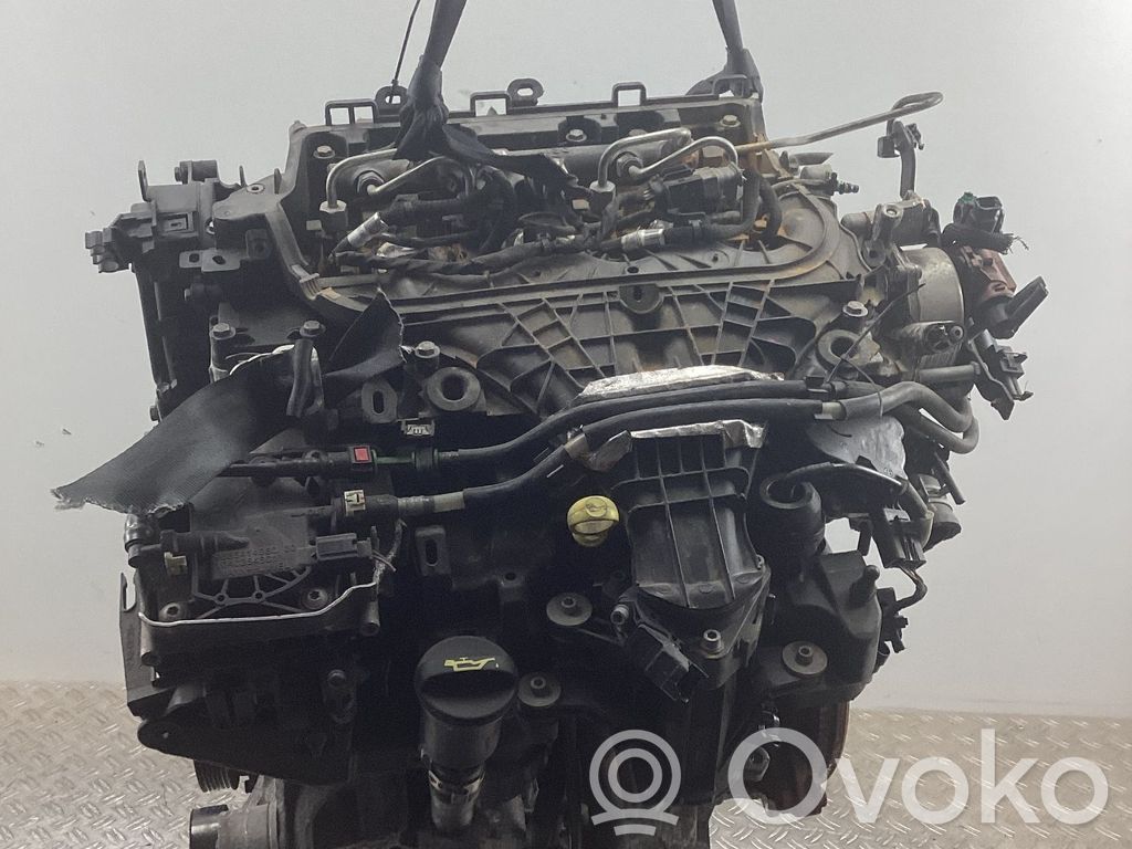 Motor