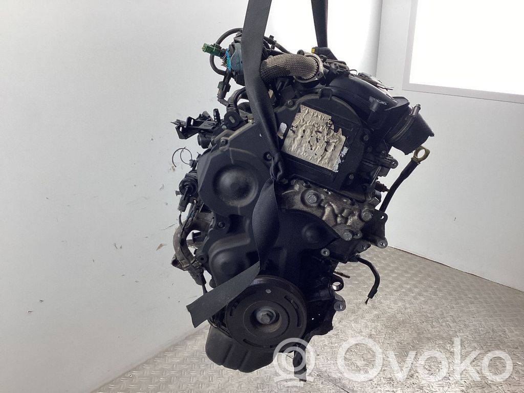 Motor