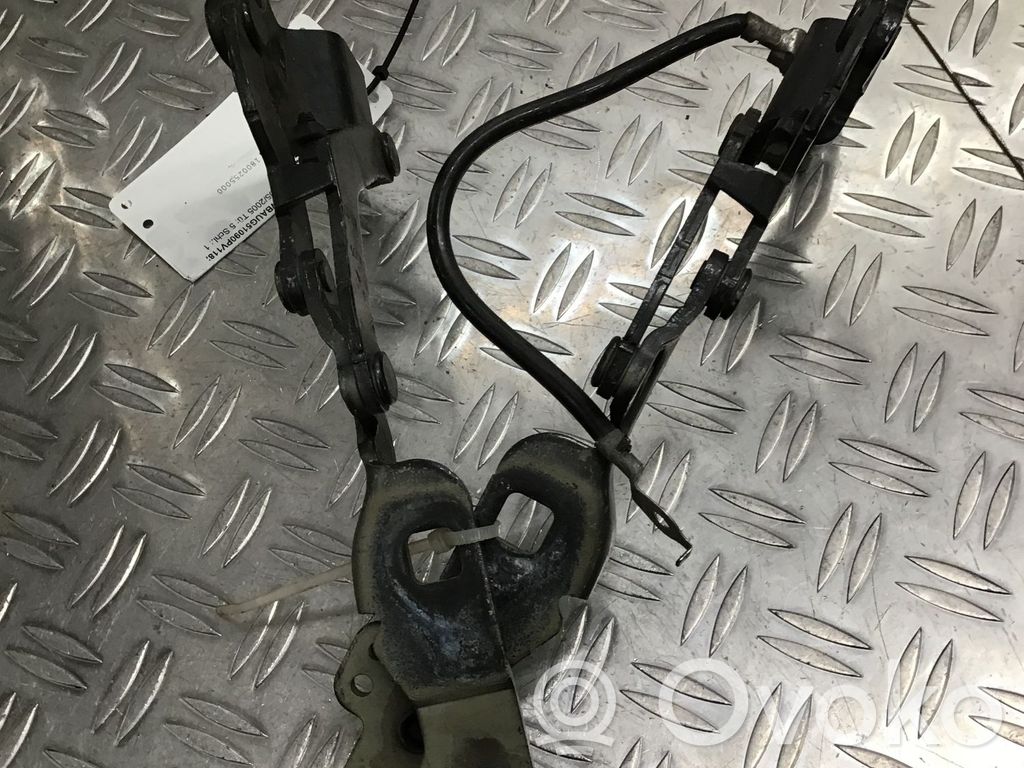Engine bonnet/hood hinges   7060559