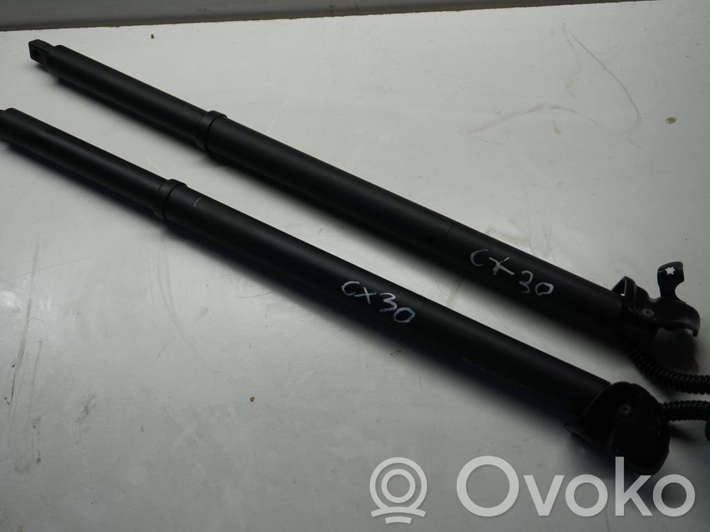 Jeep Compass Tailgate/trunk strut/damper 