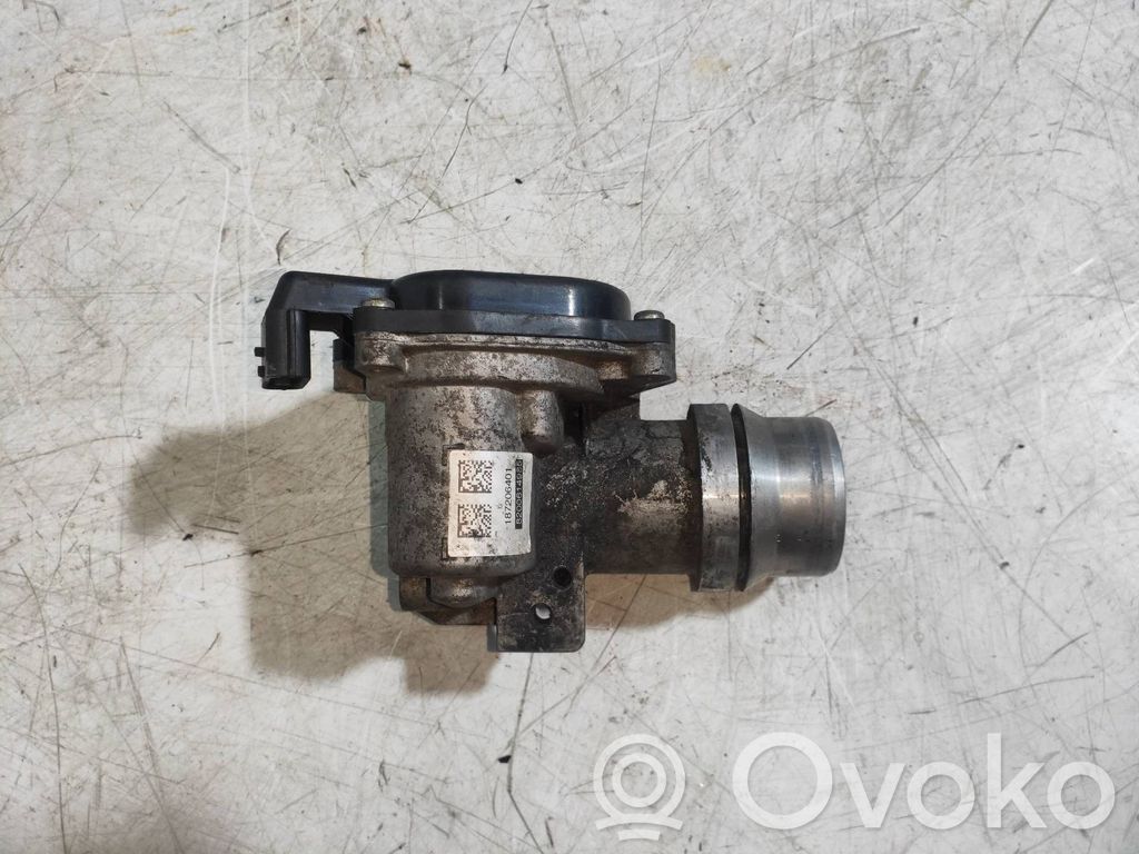 EGR vožtuvas   8200614985,187206401