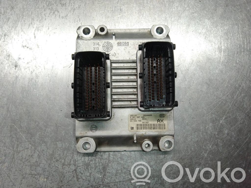Engine control unit/module   0261207423,24443796,26SA8096AX