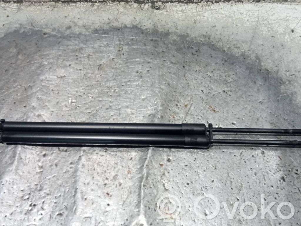 Tailgate/trunk strut/damper   51248402405