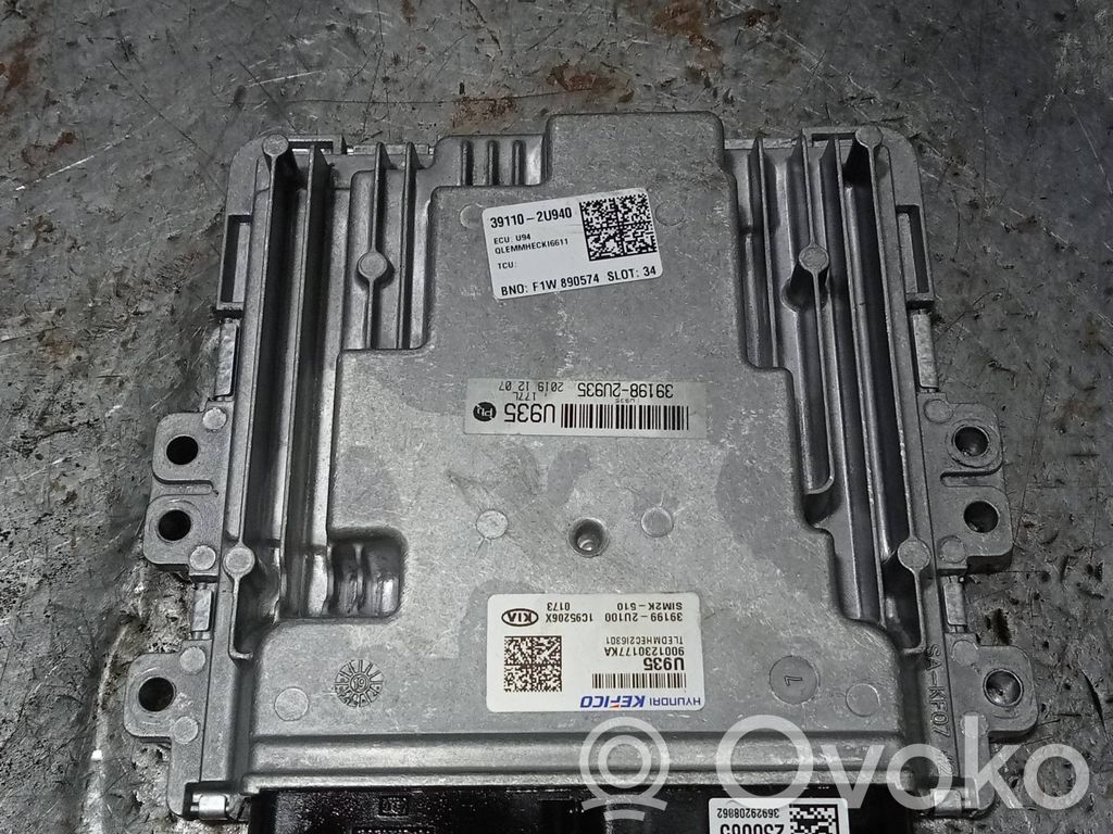 Engine control unit/module   391992U100,9001230177KA,SIM2K510