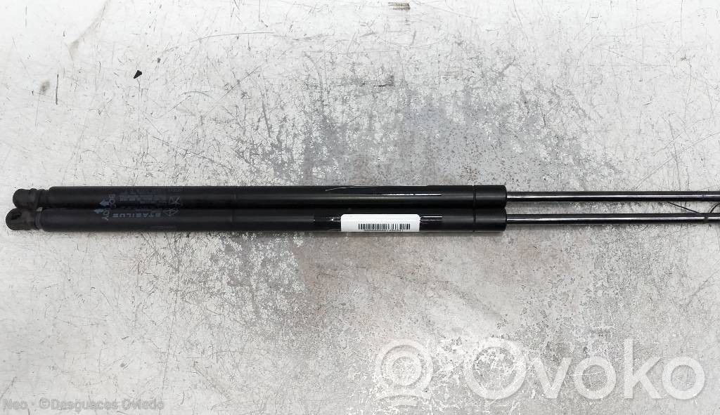 Tailgate/trunk strut/damper   04589502AA