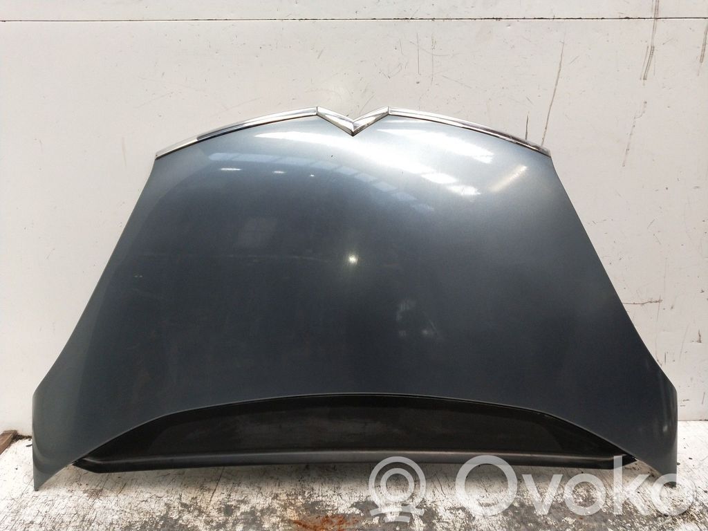 Engine bonnet/hood
