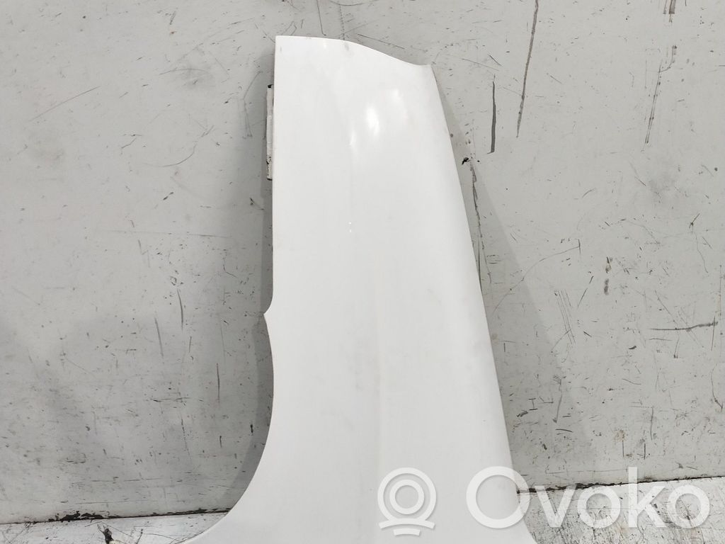 Fender