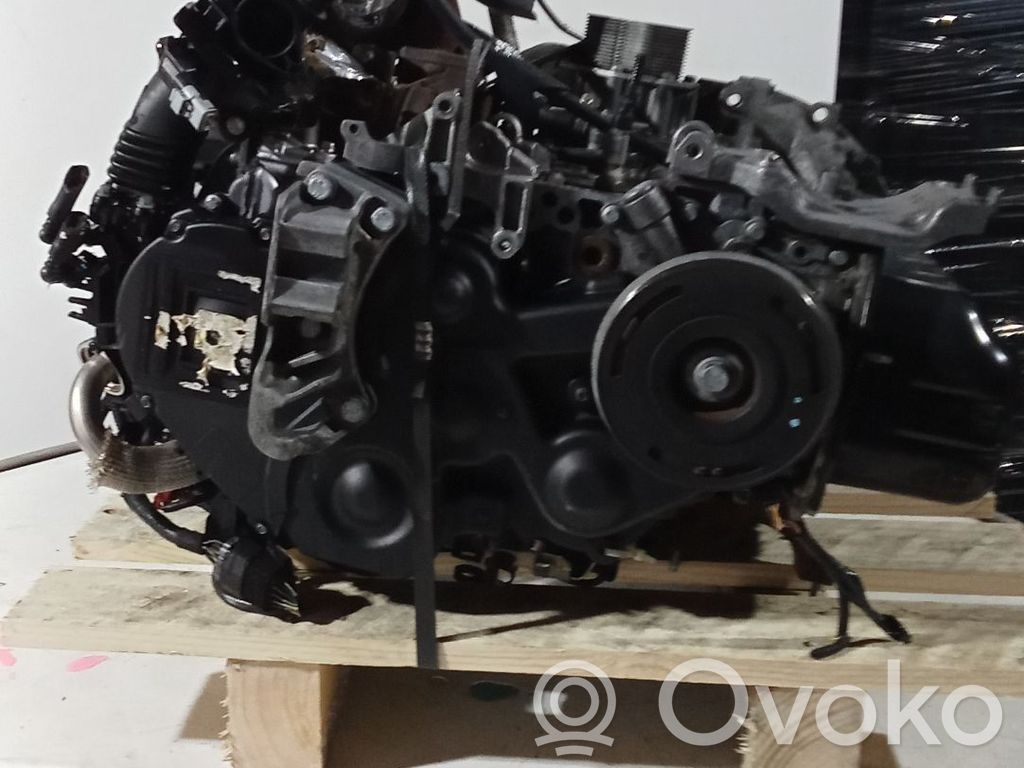 Engine   Y6,BOSCH,233625