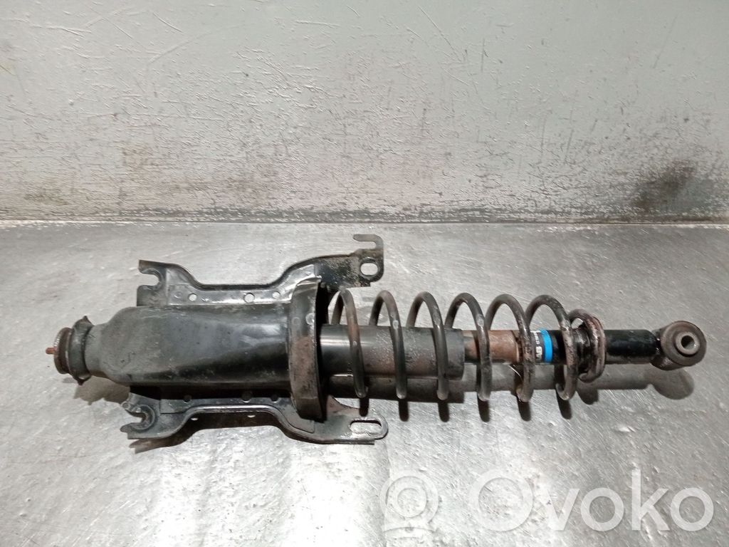 Stoßdämpfer hinten   12760018,814901000319