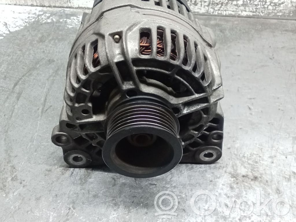 Generator/alternator   028903028D,0124325003