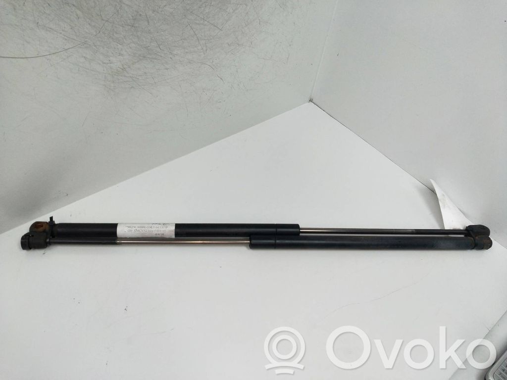 Tailgate/trunk strut/damper