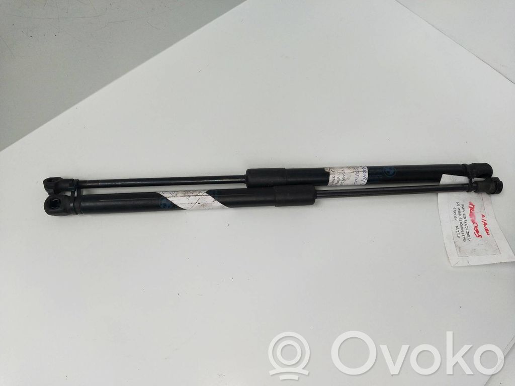 Tailgate/trunk strut/damper