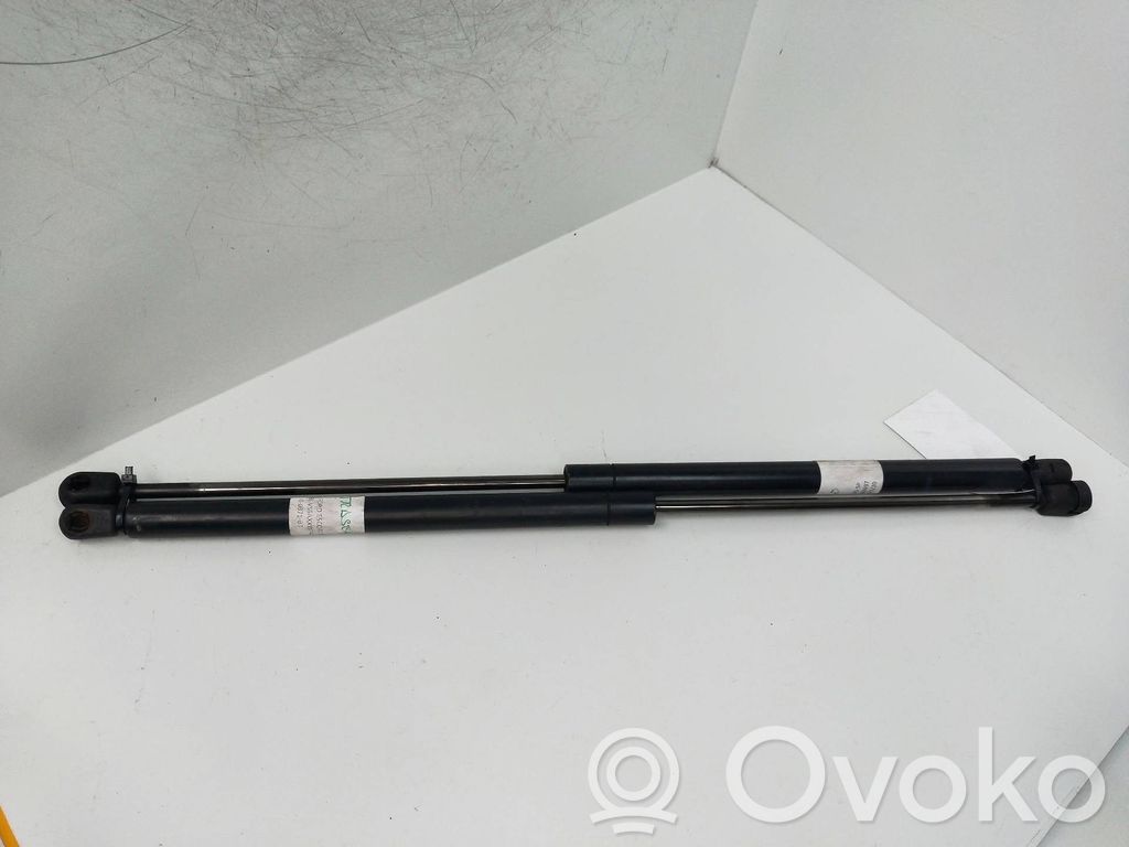 Tailgate/trunk strut/damper