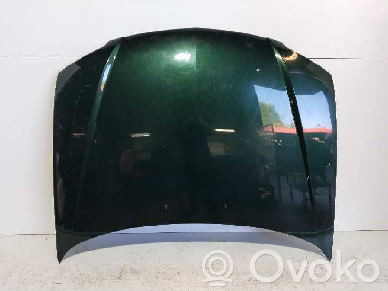 Engine bonnet/hood