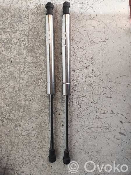 Volkswagen Phaeton Ammortizzatore portellone anteriore/cofano 