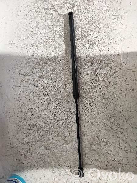 Tailgate/trunk strut/damper   654712943R