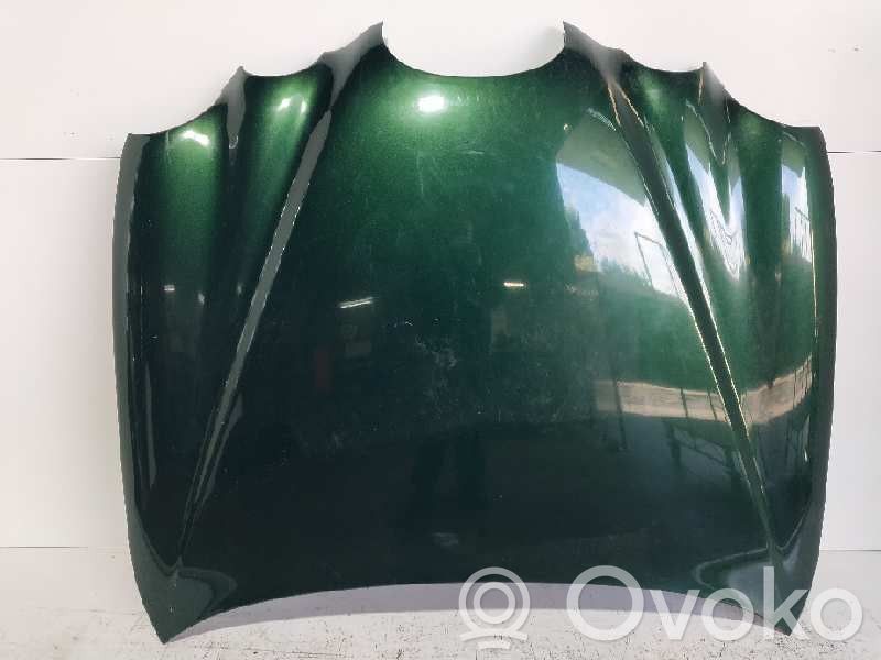 Engine bonnet/hood