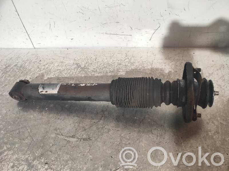 Rear shock absorber/damper