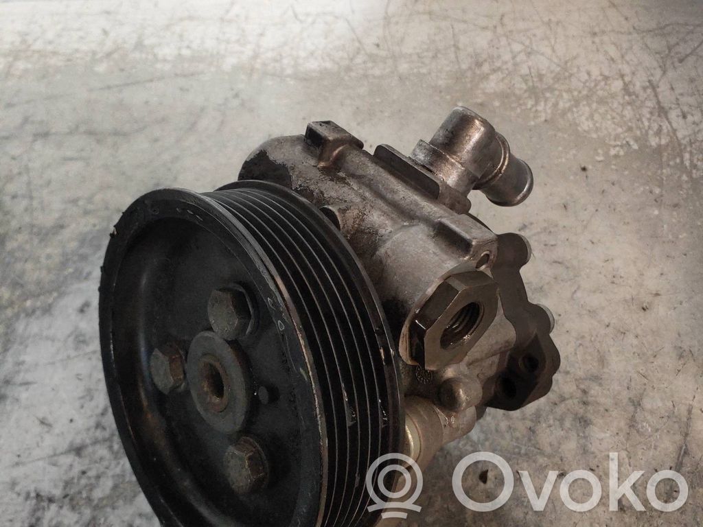 Power steering pump   7696974105,675617501