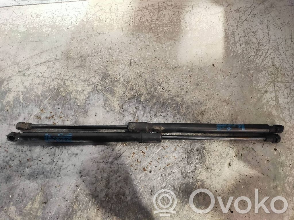 Chevrolet Aveo Amortiguador/puntal del maletero/compartimento de carga 