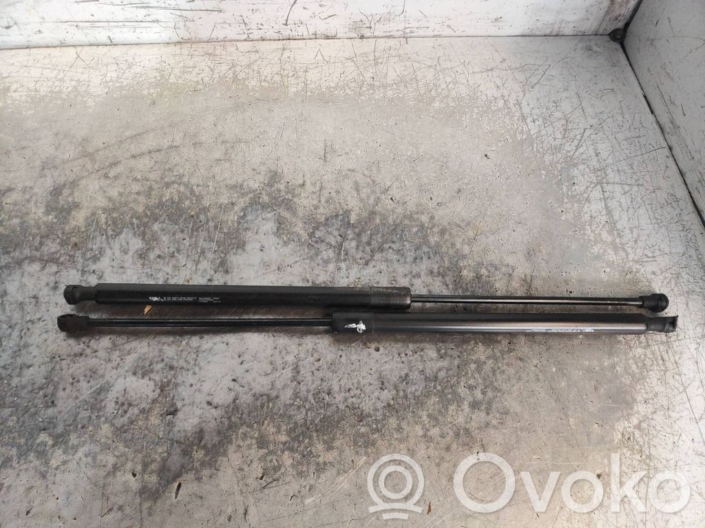 Tailgate/trunk strut/damper   9681486580