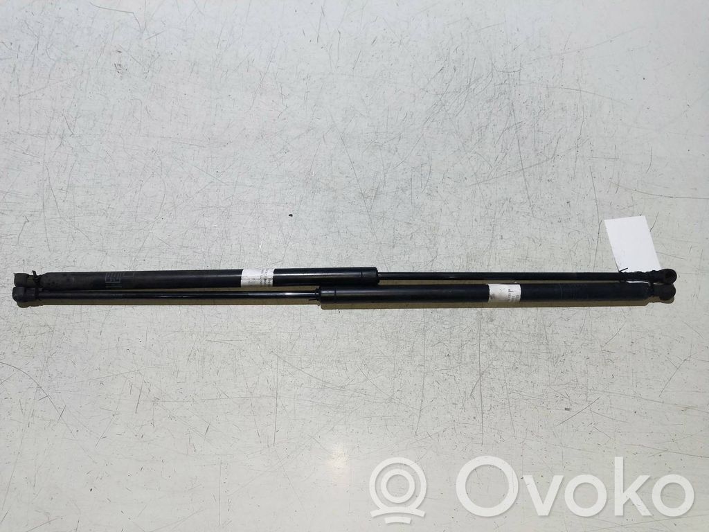 Tailgate/trunk strut/damper