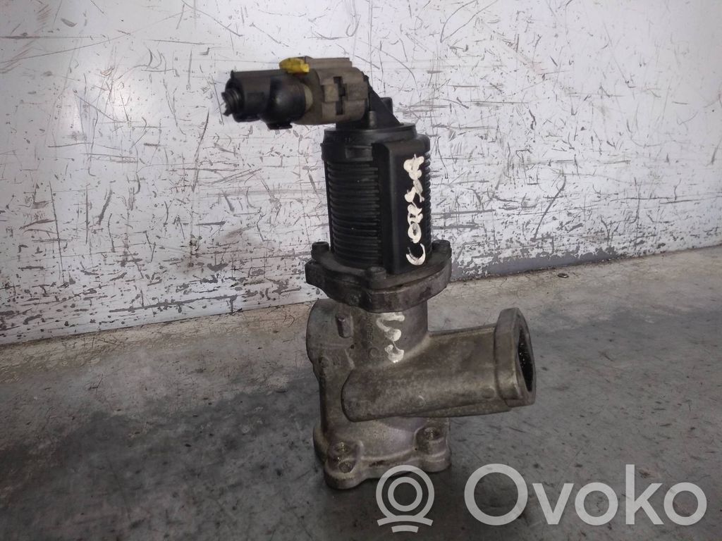 EGR-venttiili   55219498,500240070