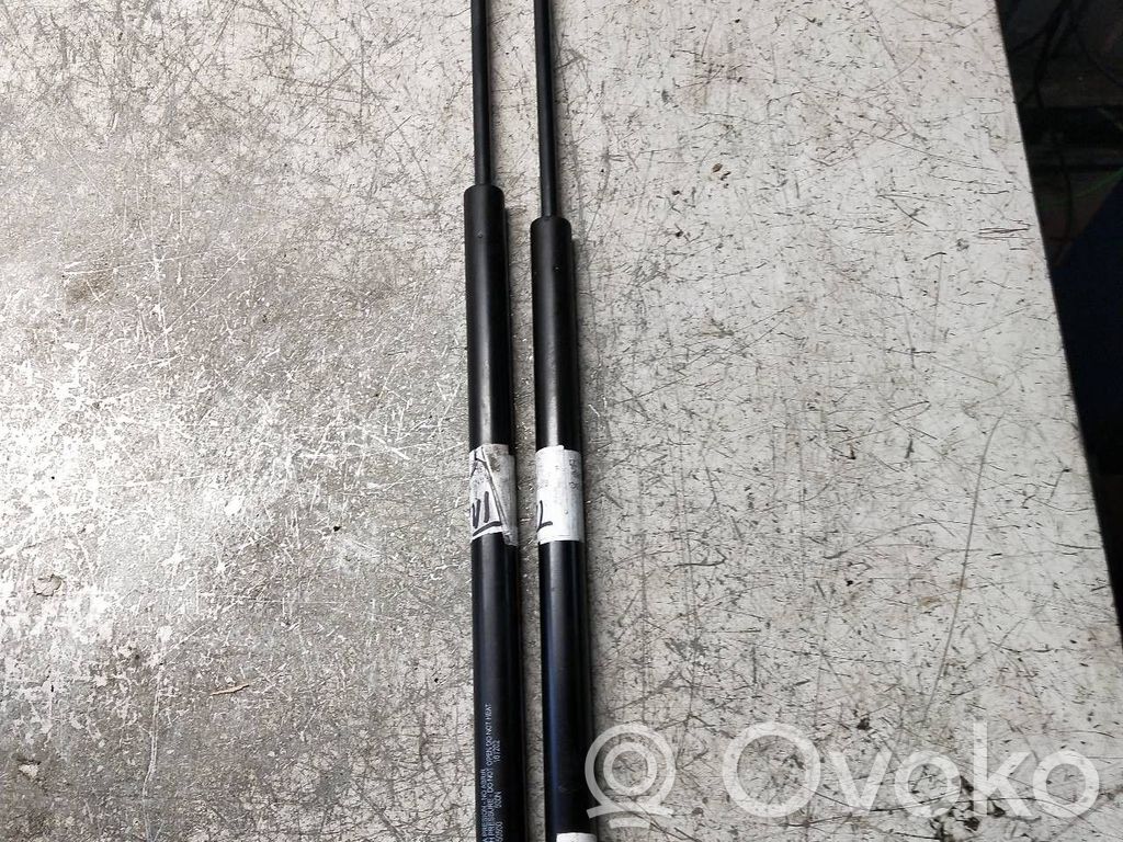 Tailgate/trunk strut/damper   08650500,500N