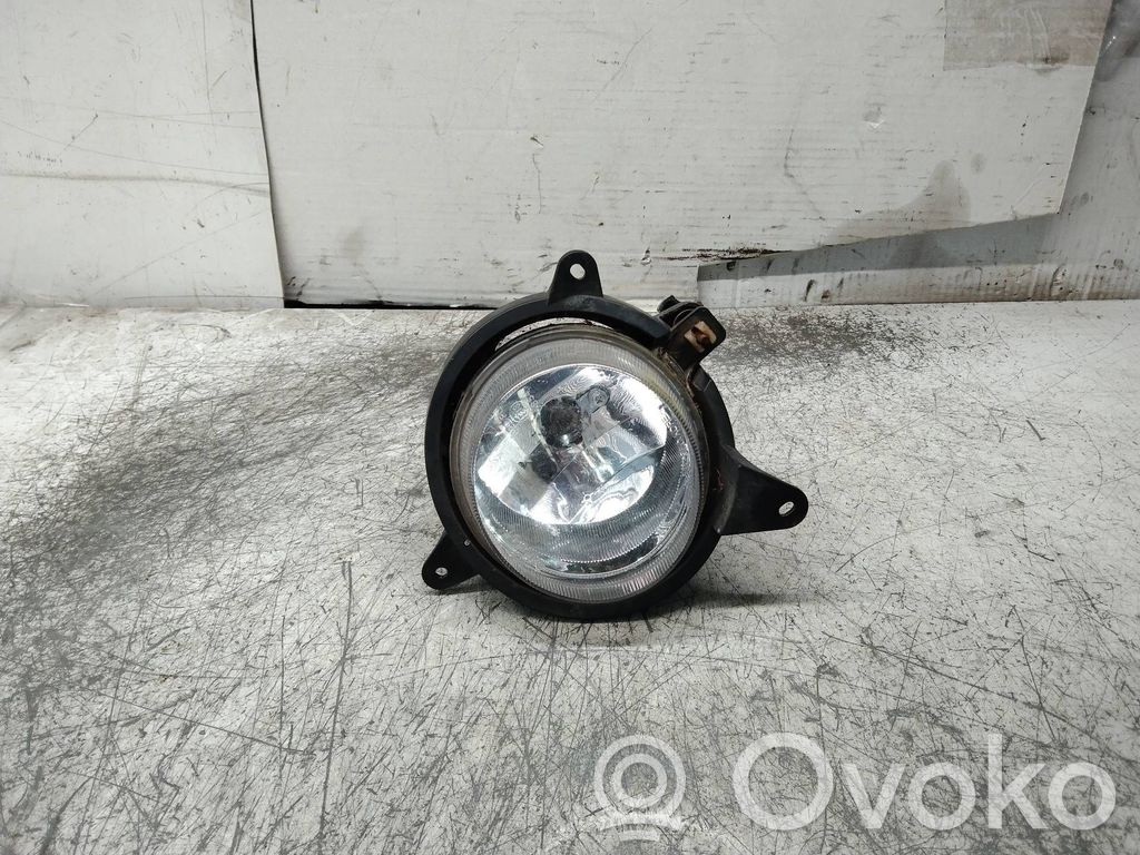 Luz de niebla delantera   922013EO