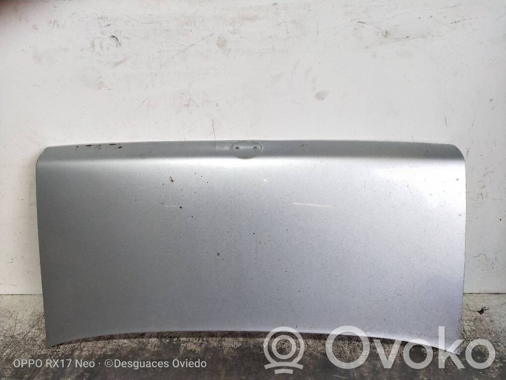 Tailgate/trunk/boot lid