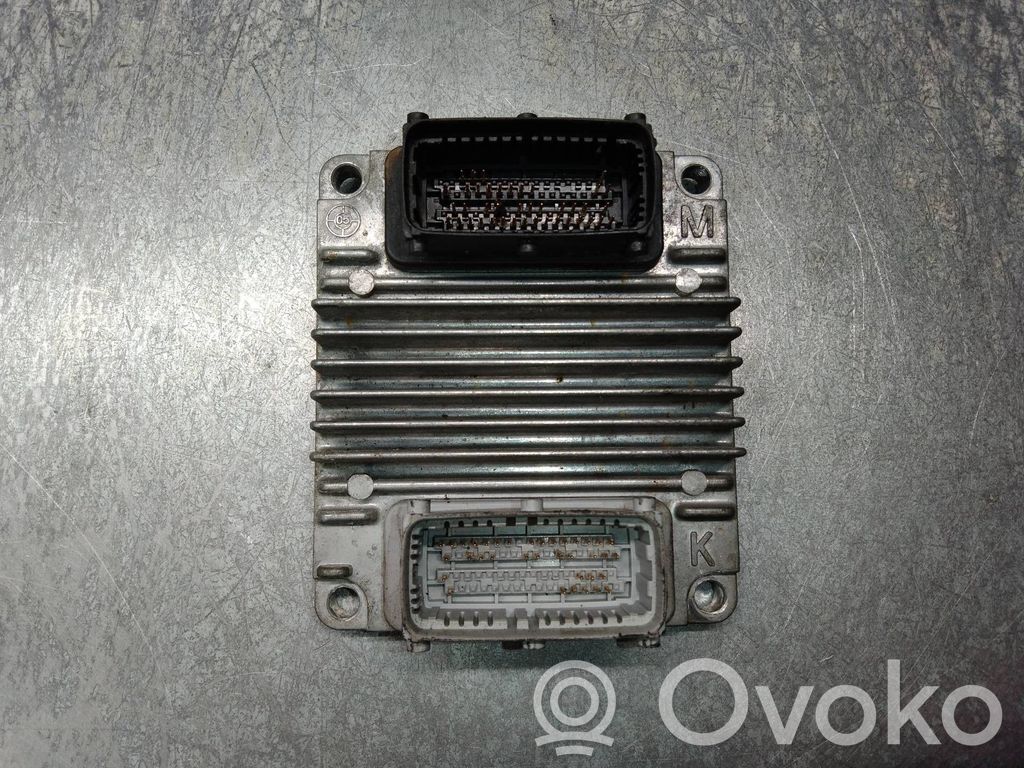 Chevrolet Aveo Engine control unit/module 