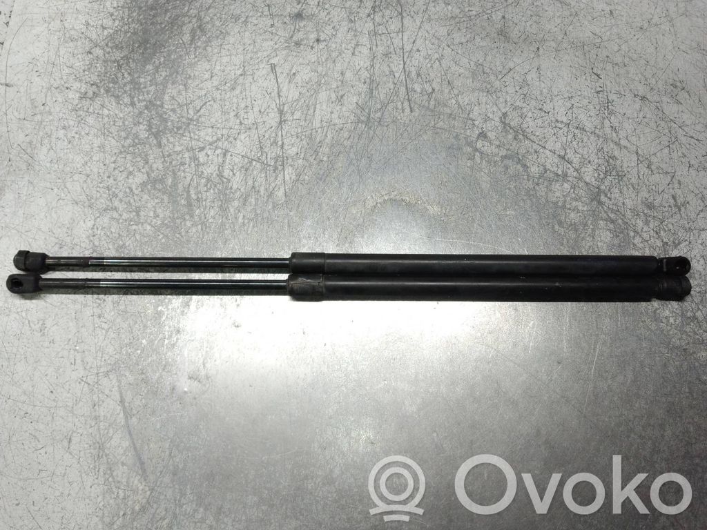 Tailgate/trunk strut/damper   51248206652,0380N