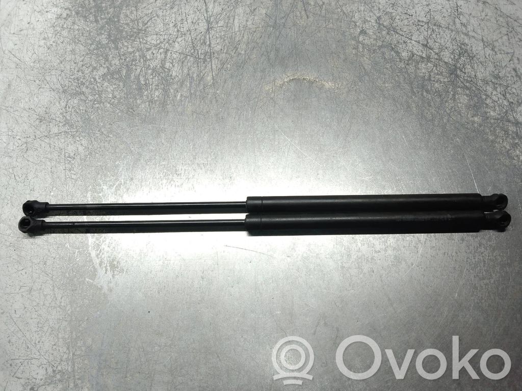 Citroen C5 Ammortizzatore portellone anteriore/cofano 