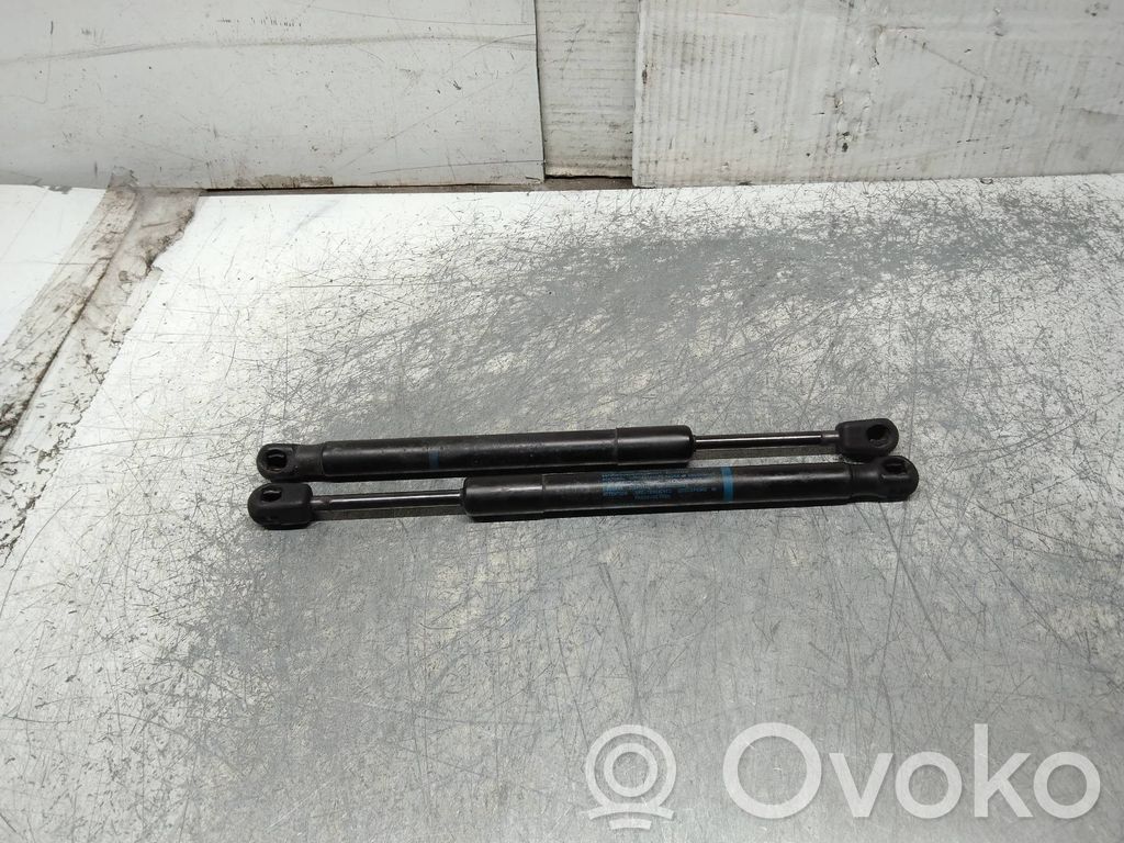 Audi A6 S6 C6 4F Tailgate/trunk strut/damper 
