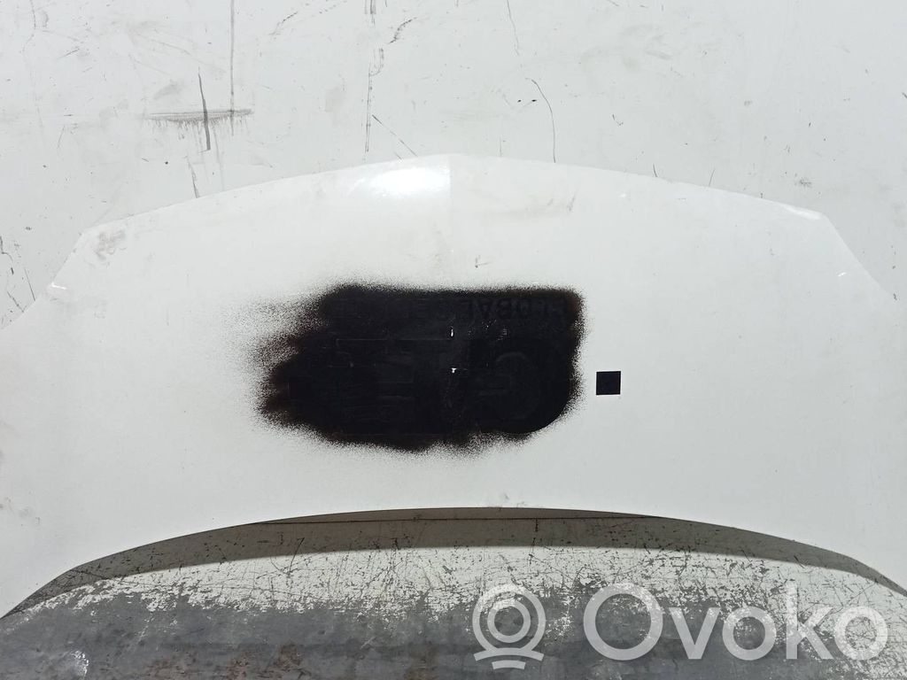 Engine bonnet/hood