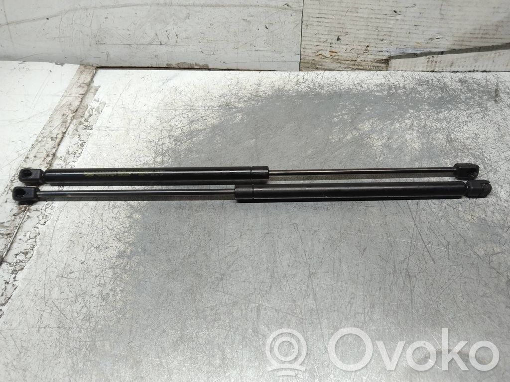 Tailgate/trunk strut/damper   500N