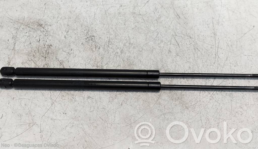 Tailgate/trunk strut/damper
