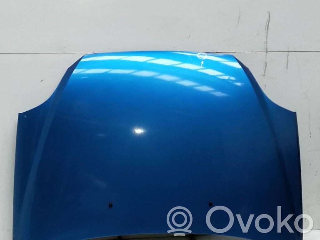 Engine bonnet/hood