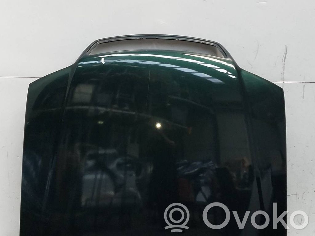 Engine bonnet/hood