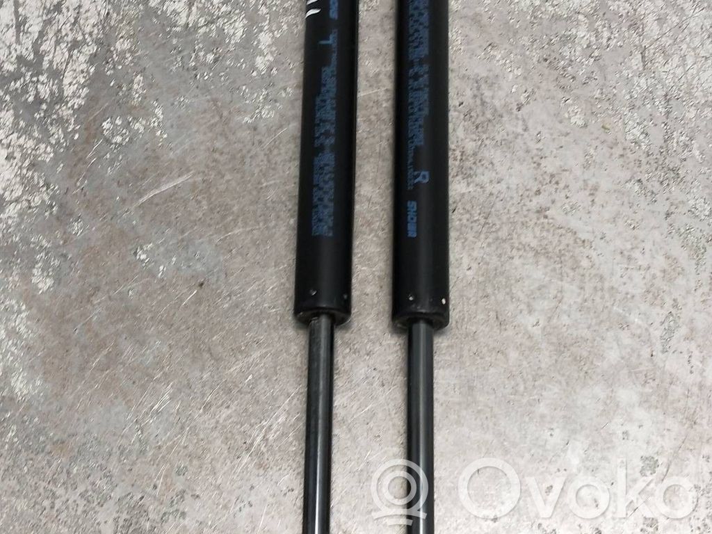 Tailgate/trunk strut/damper