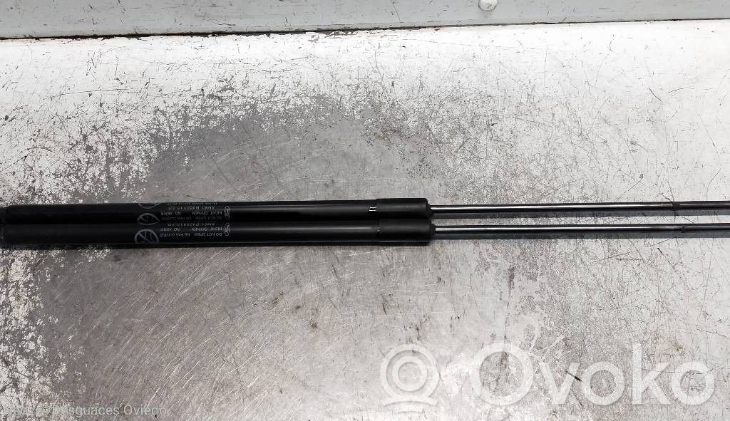 Ford C-MAX I Tailgate/trunk strut/damper 