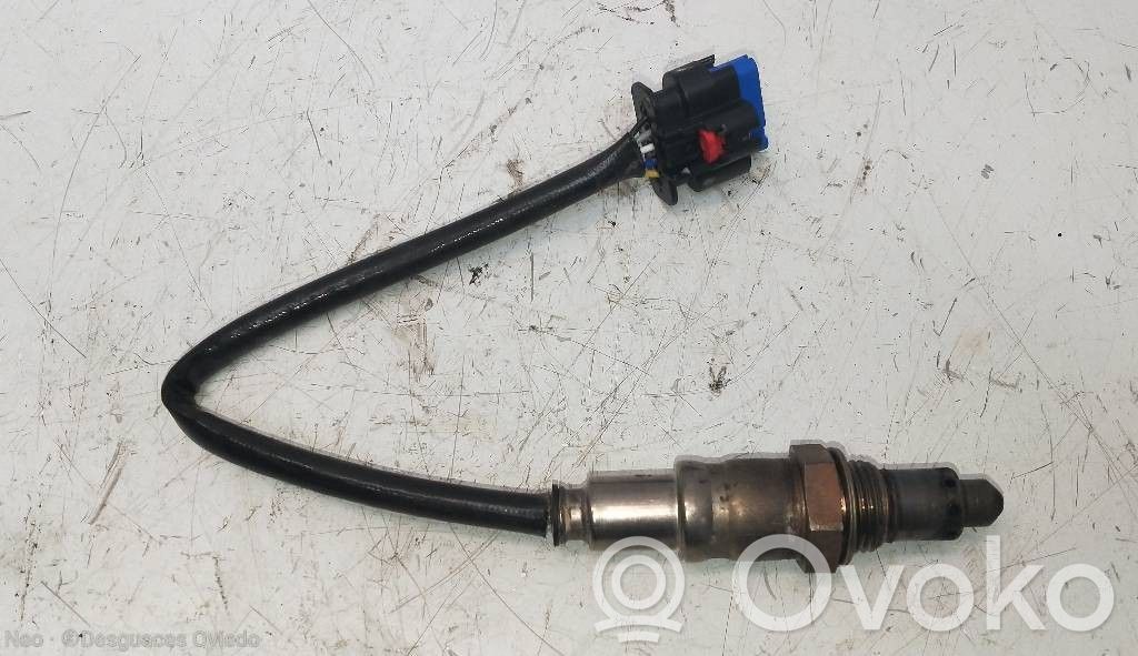 Sonde lambda   JX619Y460AA