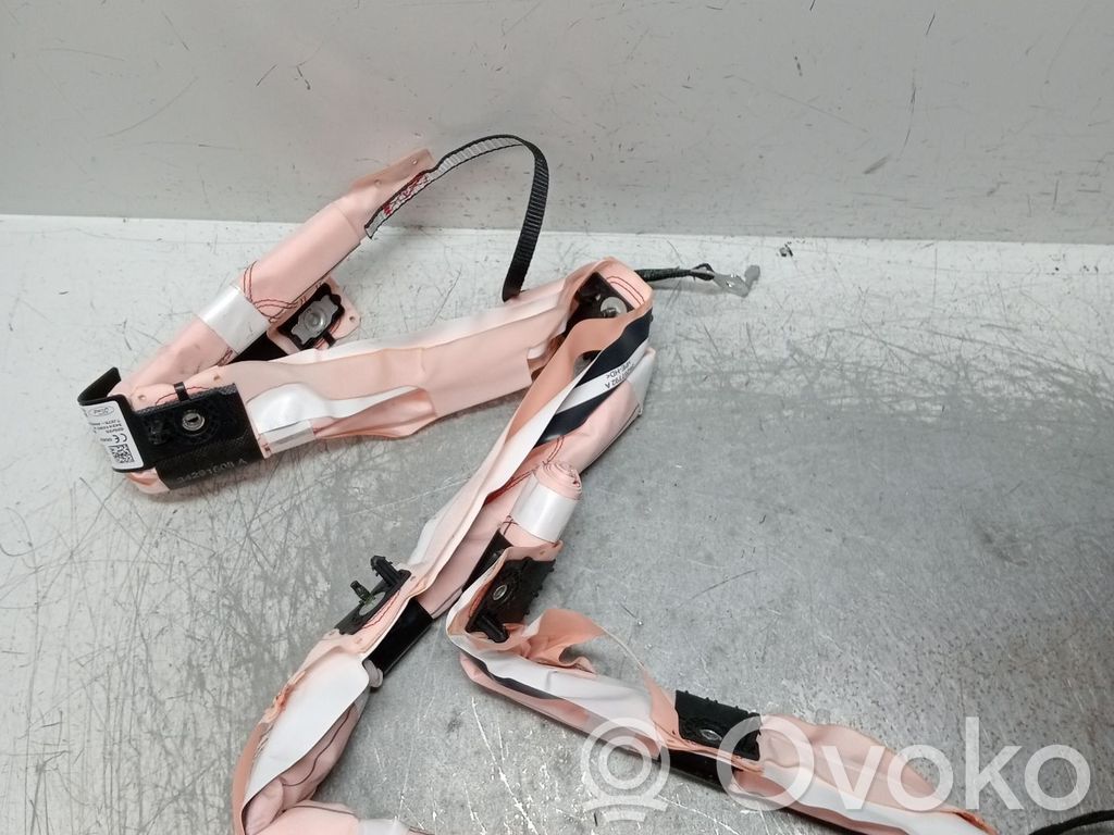 Ford Focus Priekšējo durvju drošības spilvens 