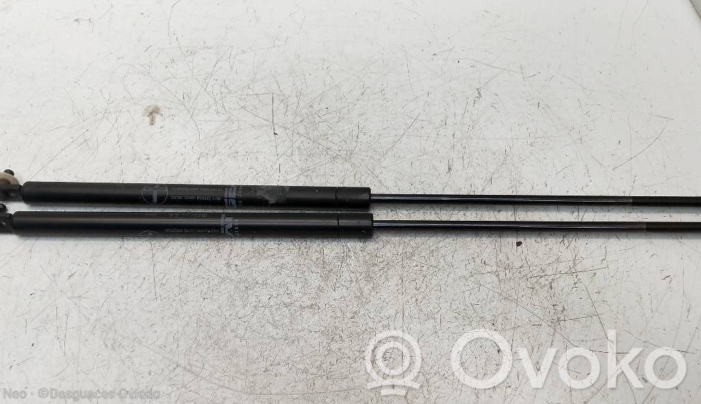 Seat Marbella Tailgate/trunk strut/damper 