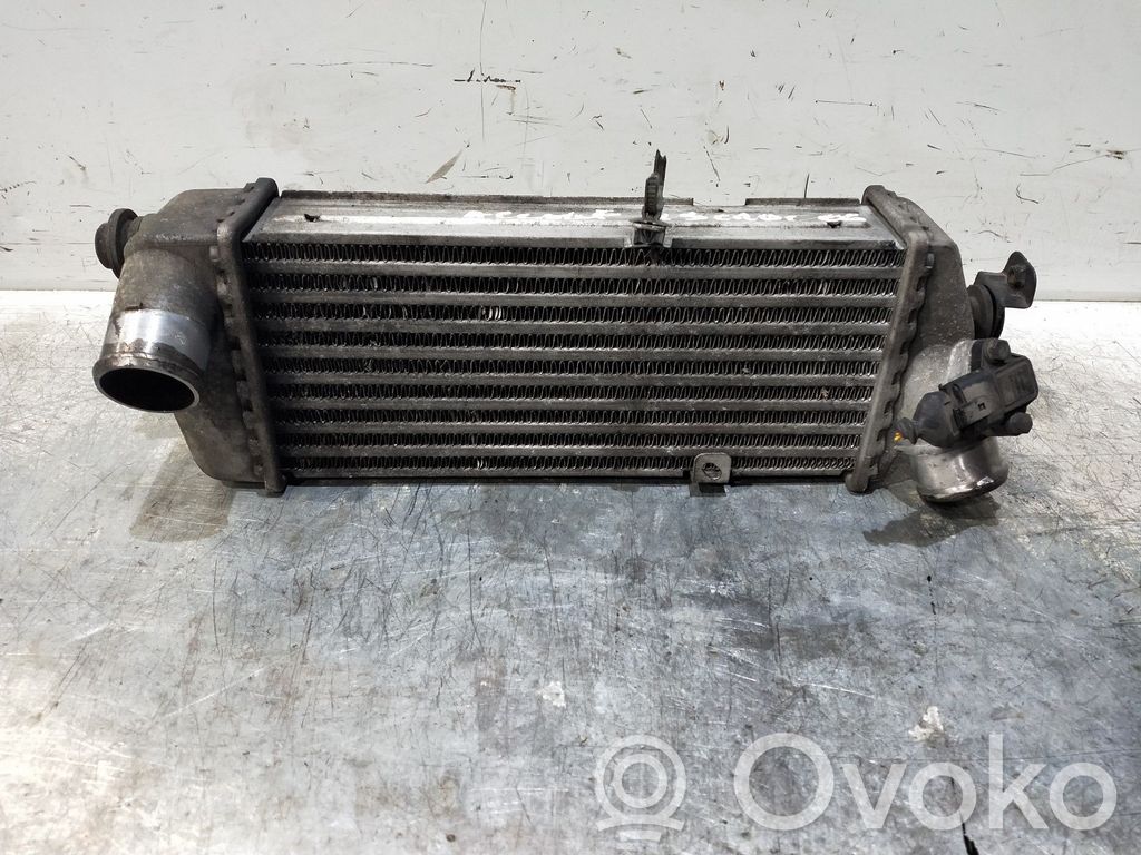 Intercooler radiator