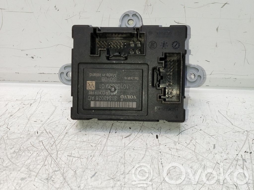 Other control units/modules   31343028AC,1010253901