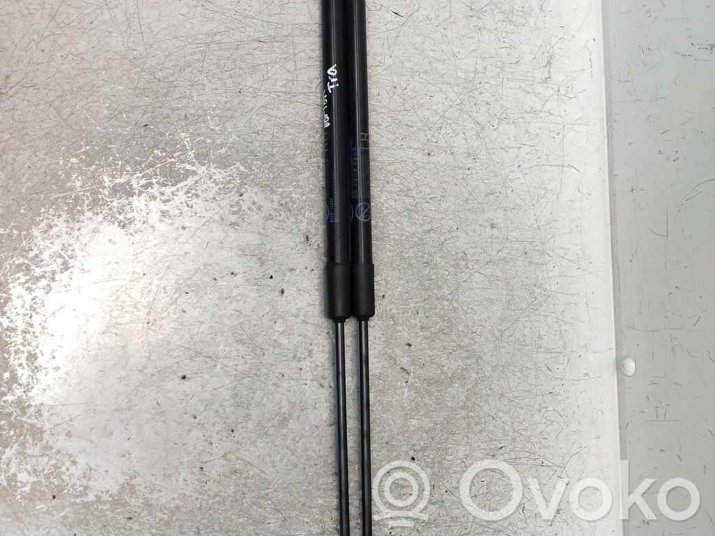 Tailgate/trunk strut/damper   81771J7000